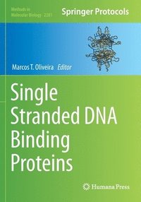 bokomslag Single Stranded DNA Binding Proteins