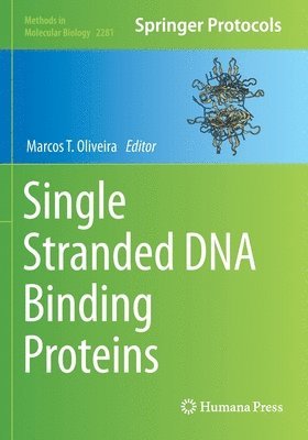 bokomslag Single Stranded DNA Binding Proteins