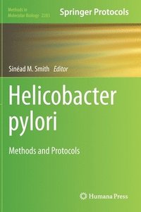 bokomslag Helicobacter Pylori