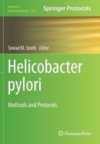 bokomslag Helicobacter Pylori