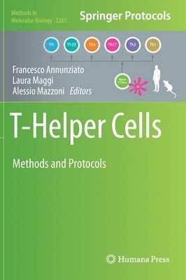 T-Helper Cells