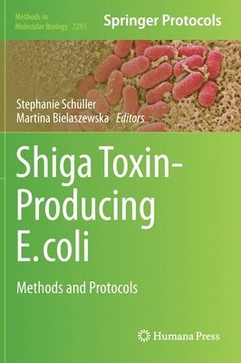 Shiga Toxin-Producing E. coli 1