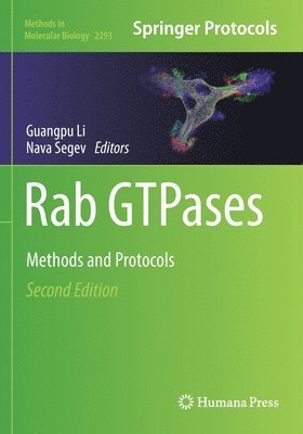 Rab GTPases 1