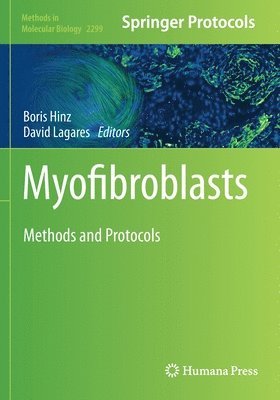 bokomslag Myofibroblasts