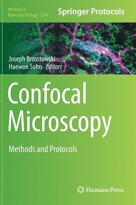 Confocal Microscopy 1