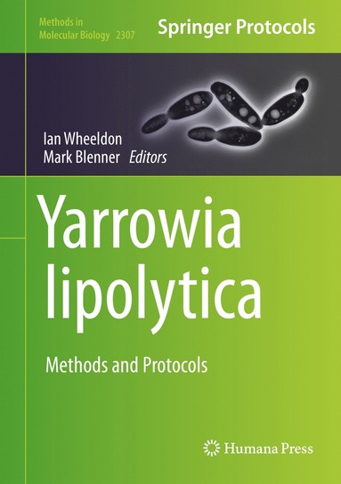 bokomslag Yarrowia lipolytica