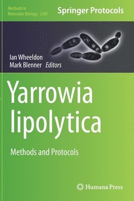 Yarrowia lipolytica 1