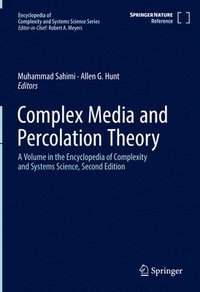 bokomslag Complex Media and Percolation Theory