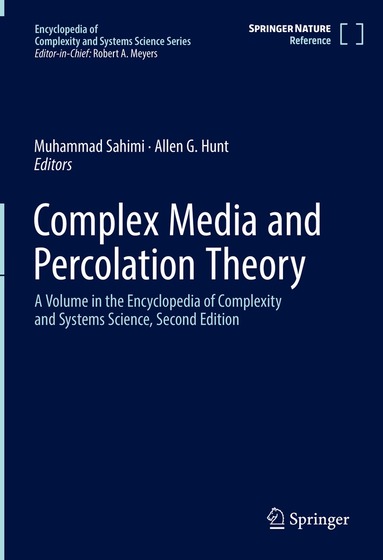 Muhammad Sahimi, Allen G. Hunt - Complex Media and Percolation Theory, Inbunden