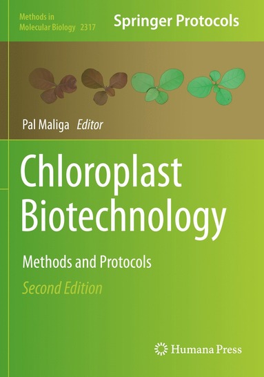 bokomslag Chloroplast Biotechnology