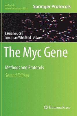 Myc Gene