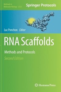 bokomslag RNA Scaffolds