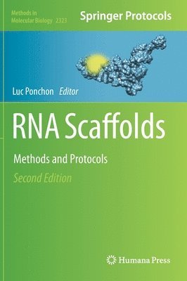 RNA Scaffolds 1