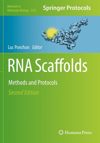 bokomslag RNA Scaffolds