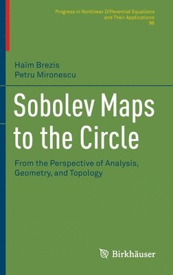 bokomslag Sobolev Maps to the Circle