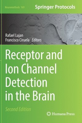 bokomslag Receptor and Ion Channel Detection in the Brain