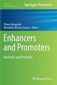 bokomslag Enhancers and Promoters