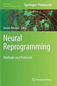 bokomslag Neural Reprogramming