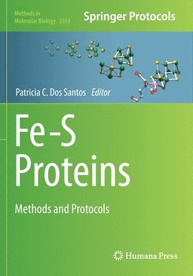 bokomslag Fe-S Proteins
