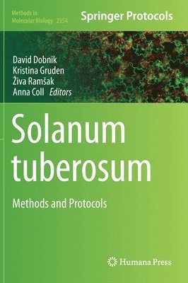 Solanum tuberosum 1
