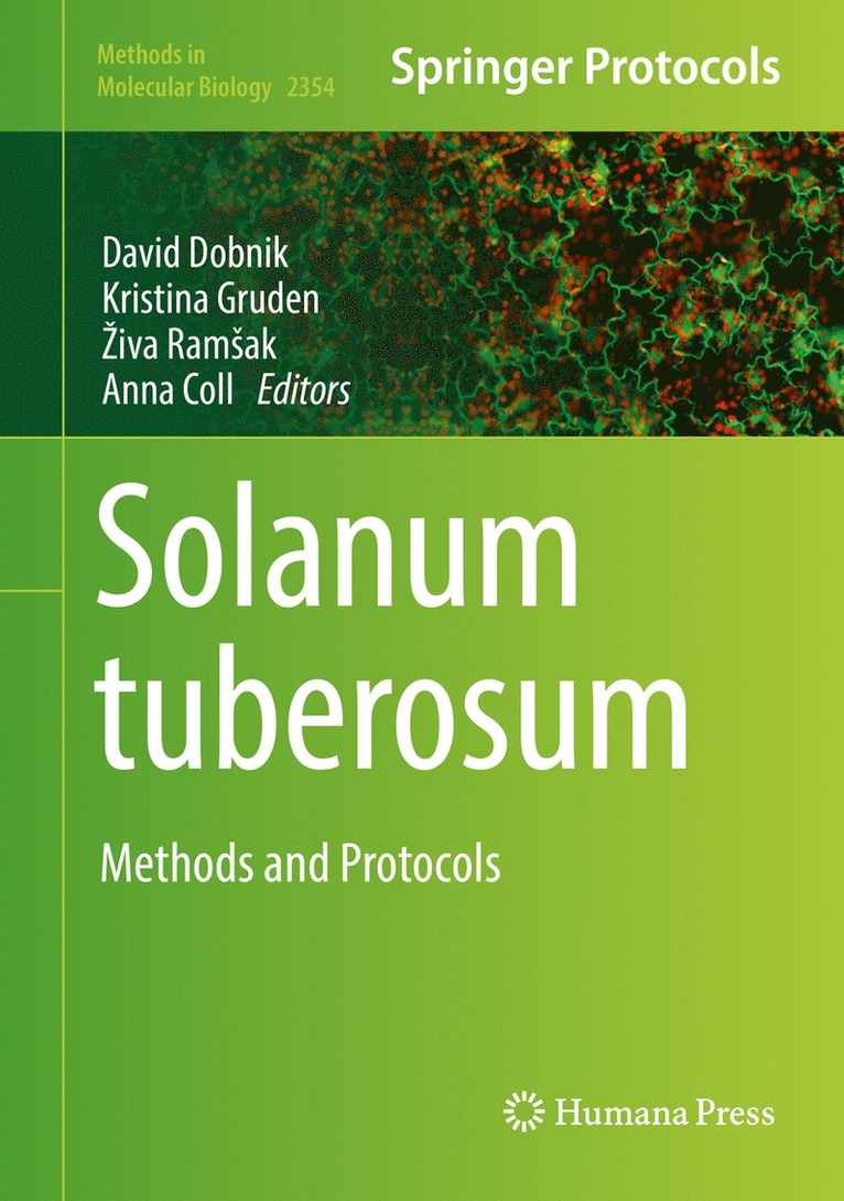 Solanum tuberosum