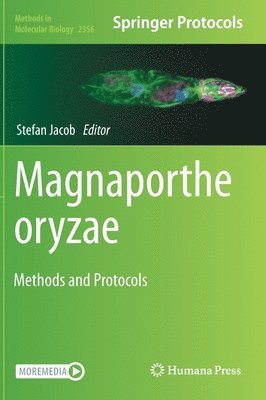 Stefan Jacob - Magnaporthe oryzae, Inbunden