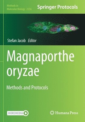 bokomslag Magnaporthe oryzae