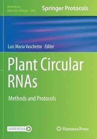 bokomslag Plant Circular RNAs