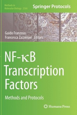 bokomslag NF-B Transcription Factors