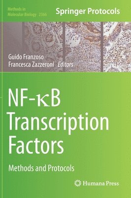 NF-B Transcription Factors 1