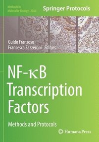 bokomslag NF-B Transcription Factors