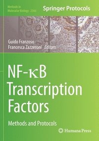 bokomslag NF-?B Transcription Factors