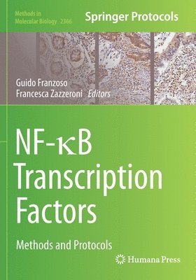 bokomslag NF-?B Transcription Factors