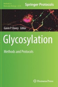 bokomslag Glycosylation
