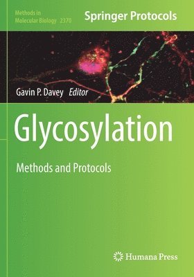 bokomslag Glycosylation