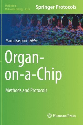 Organ-on-a-Chip