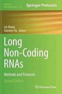 bokomslag Long Non-Coding RNAs