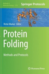 bokomslag Protein Folding