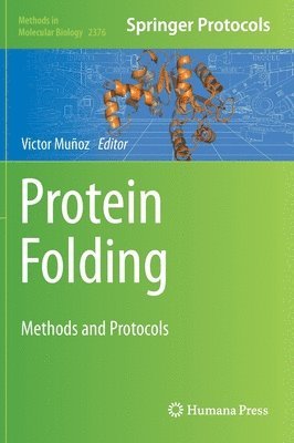 Protein Folding 1