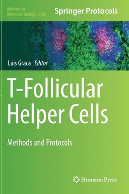 T-Follicular Helper Cells 1