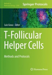 bokomslag T-Follicular Helper Cells