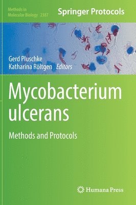 bokomslag Mycobacterium ulcerans