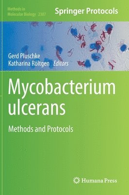 Mycobacterium ulcerans 1