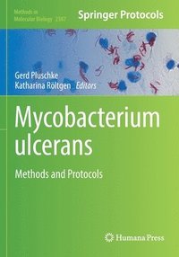 bokomslag Mycobacterium ulcerans