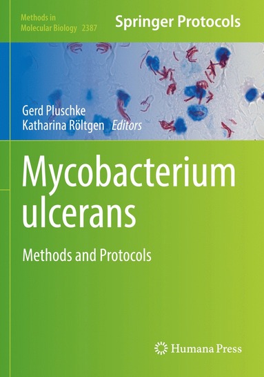 bokomslag Mycobacterium ulcerans