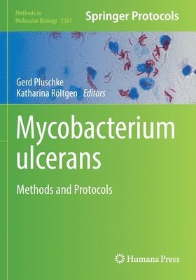 Mycobacterium ulcerans