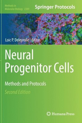 bokomslag Neural Progenitor Cells