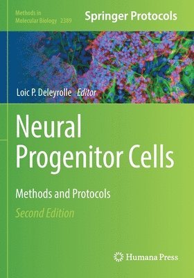Neural Progenitor Cells 1