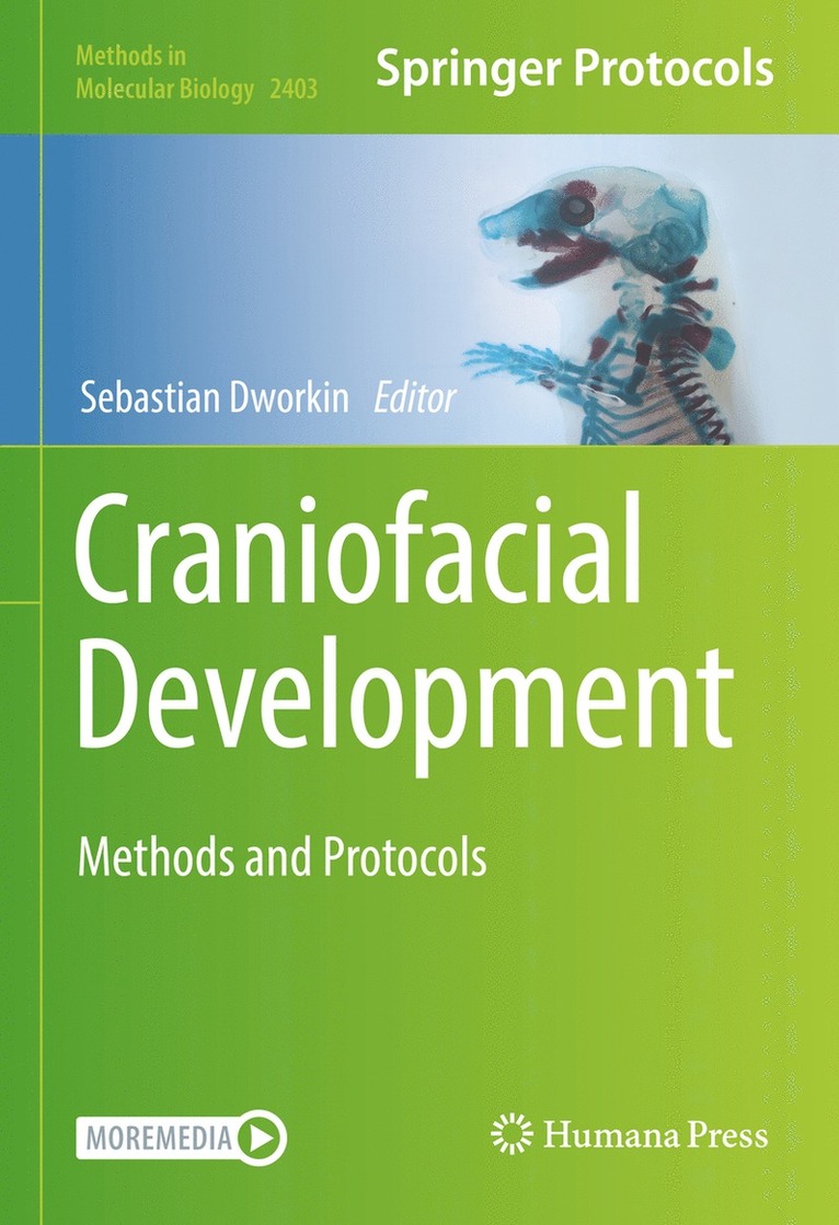 Sebastian Dworkin - Craniofacial Development, Inbunden