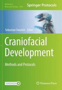 bokomslag Craniofacial Development